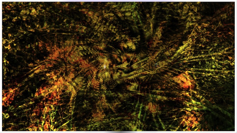 fall-abstract