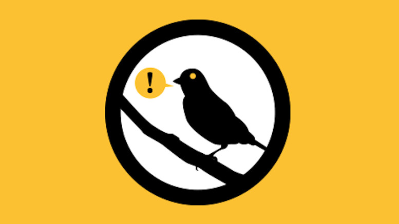 canarywatch