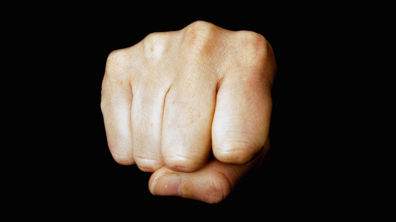 fist