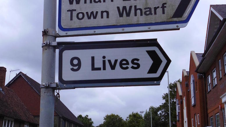 funny-signs-9-lives