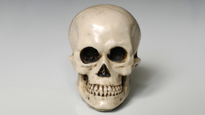 skull