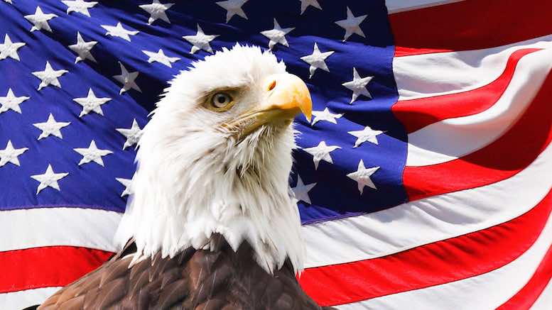 Bald Eagle and a flag