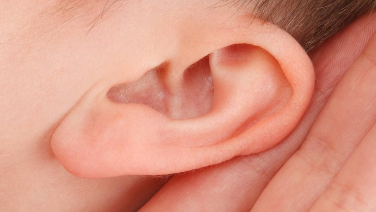 listening ear