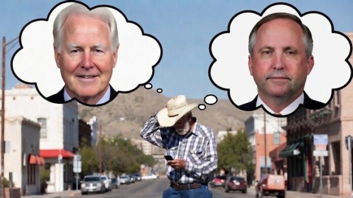 confused-Texan-voter-gets-message-about-Cornyn-and-Paxton